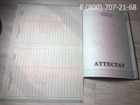 Аттестат 9 класс 2010-2013 года 4