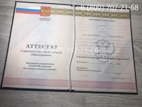 Аттестат 11 класс 2010-2013 года 1