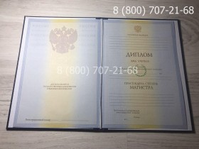 Диплом магистра 2009-2011 года 1