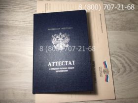 Аттестат 11 класс 2010-2013-3